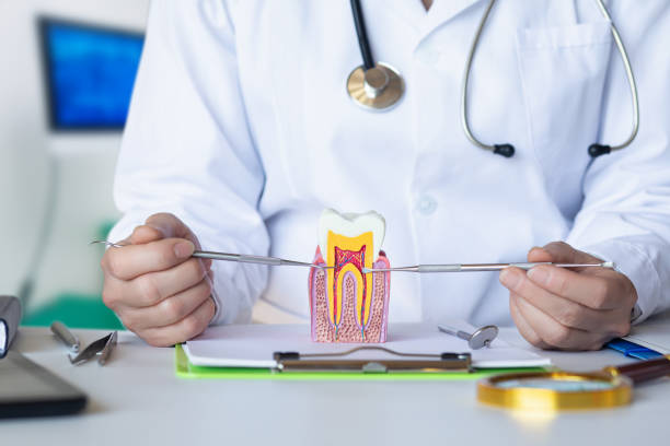 Best Emergency Orthodontic Repairs in Kaser, NY